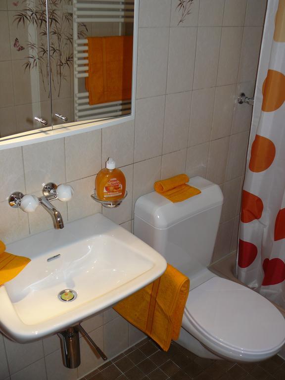 Apartment Lindi Lütschenthal Pokoj fotografie