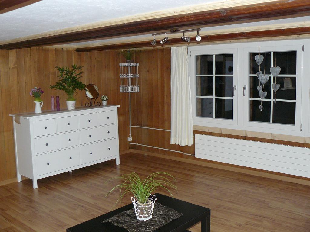 Apartment Lindi Lütschenthal Pokoj fotografie